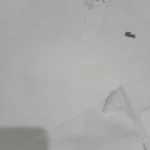 Foto de quem comprou Gola Polo Piquet Lacoste