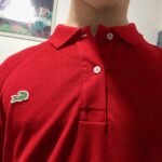 Foto de quem comprou Kit 3 Polos Lacoste