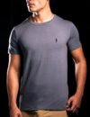 Camiseta Peruana Básica Ralph Lauren Cinza